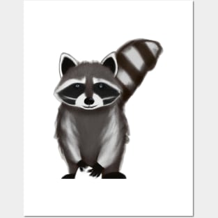 Cute Raccoon Drawing Posters and Art